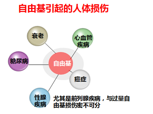 upload_6a091cfe9d225ebc5e04fe59089c3af6_细胞营养3_细胞障碍元凶氧自由基3